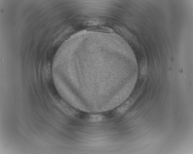 X0000070370376200606301902