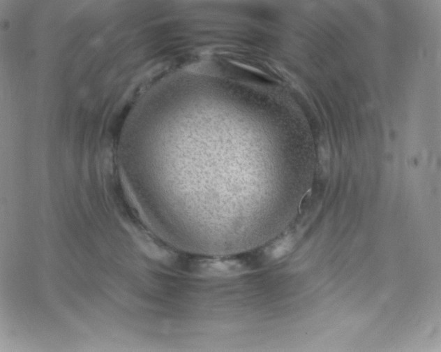 X0000070370379200606301902