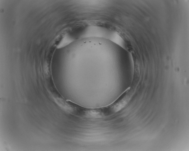 X0000070370380200606301902