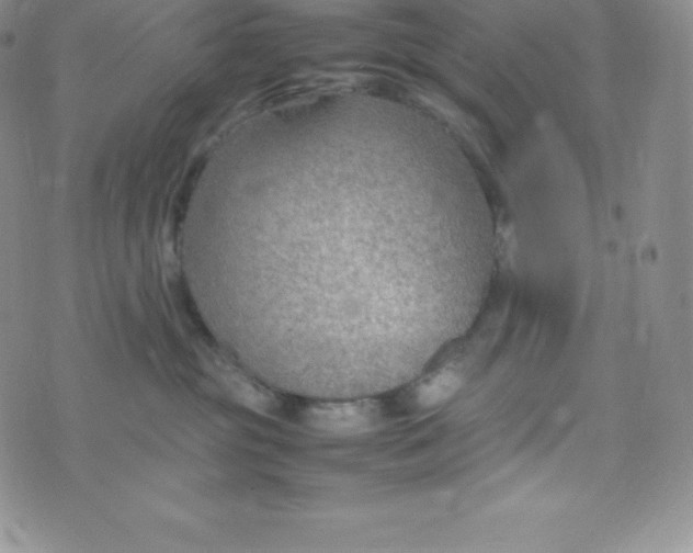 X0000070370381200606301902