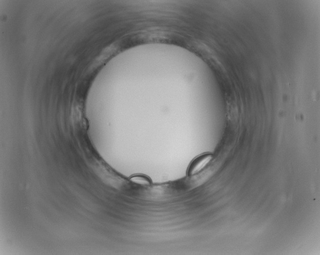 X0000070370382200606301902