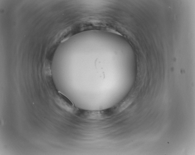 X0000070370384200606301902