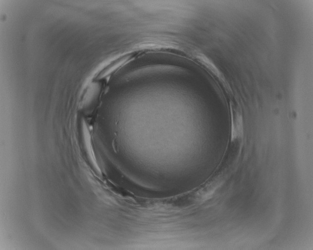 X0000070370387200606301901