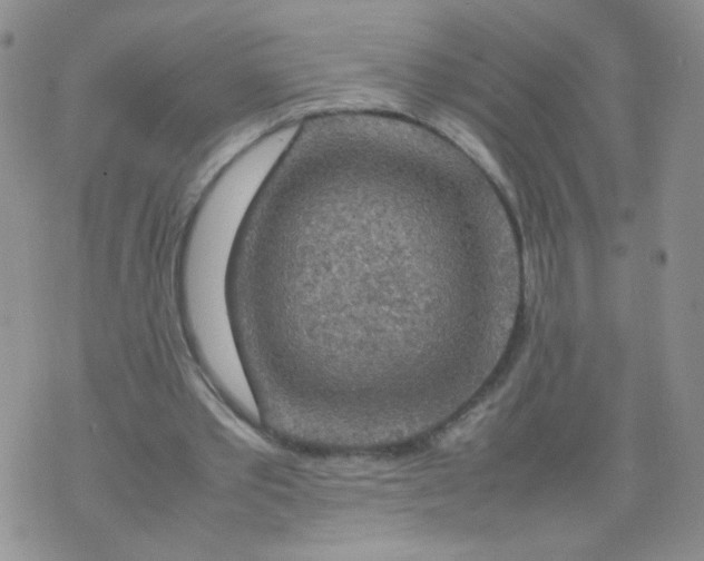 X0000070370389200606301901