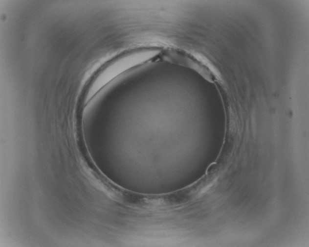 X0000070370391200606301901