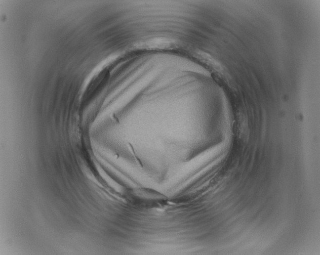 X0000070370392200606301901