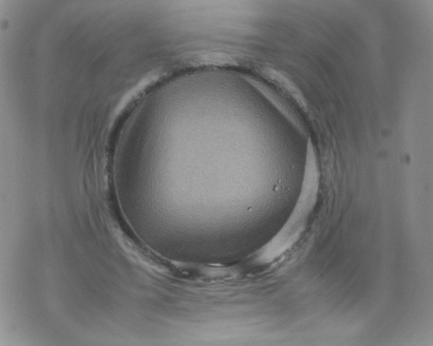 X0000070370395200606301901