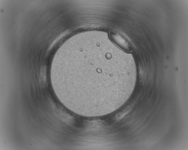 X0000070370396200606301901