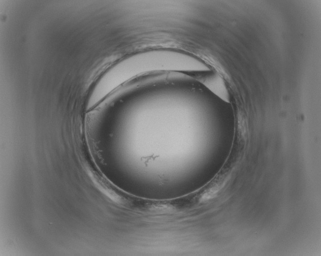 X0000070370397200606301901