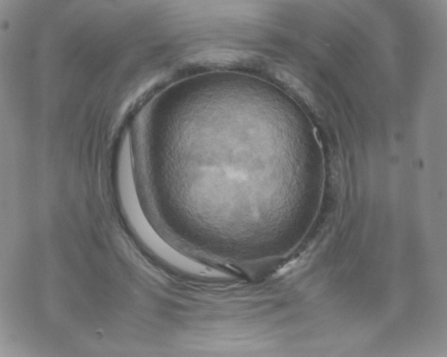 X0000070370399200606301901