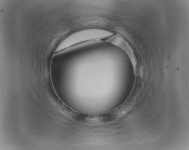 X0000070370407200606301901