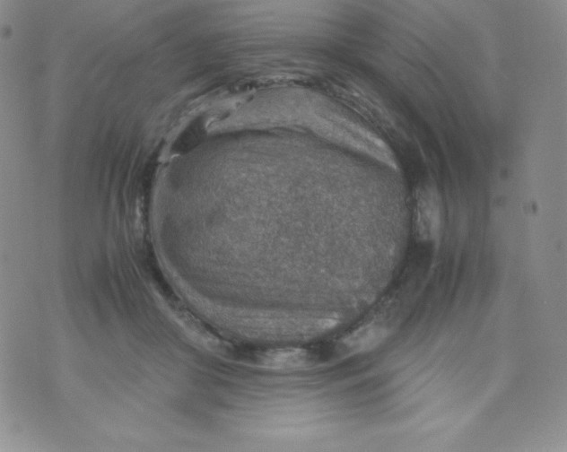 X0000070370410200606301901