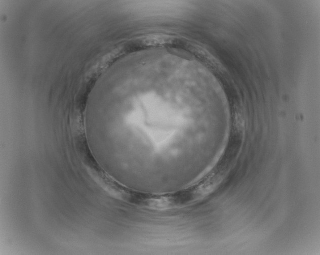 X0000070370411200606301901