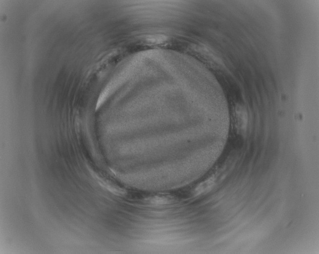 X0000070370412200606301901