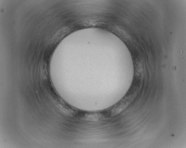 X0000070370414200606301901