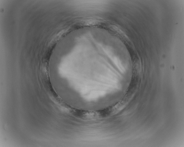 X0000070370415200606301901