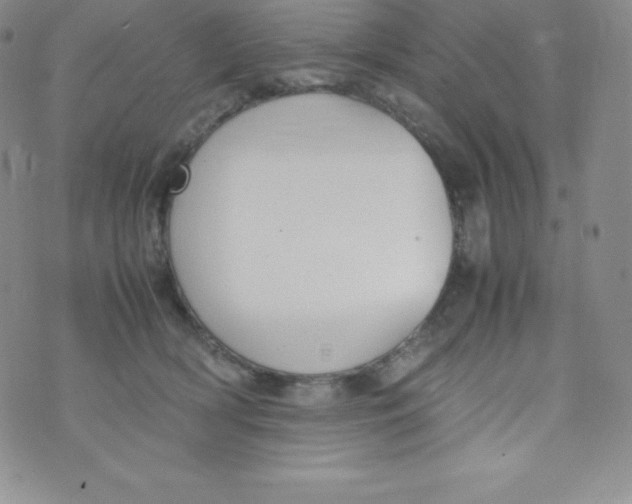 X0000070370418200606301901