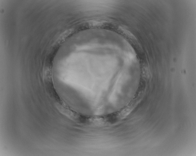 X0000070370419200606301901