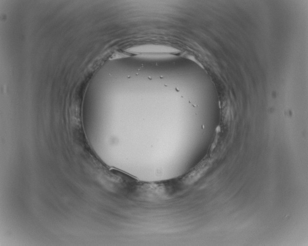 X0000070370421200606301901