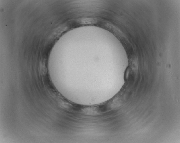 X0000070370422200606301901