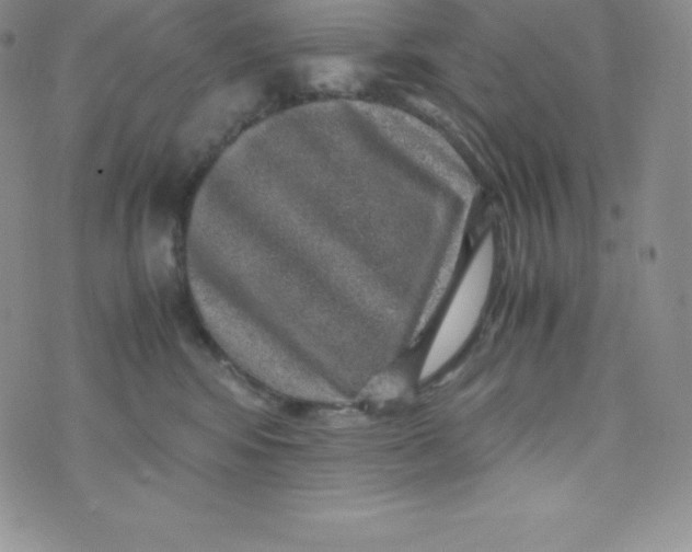 X0000070370424200606301901