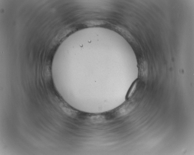 X0000070370426200606301901