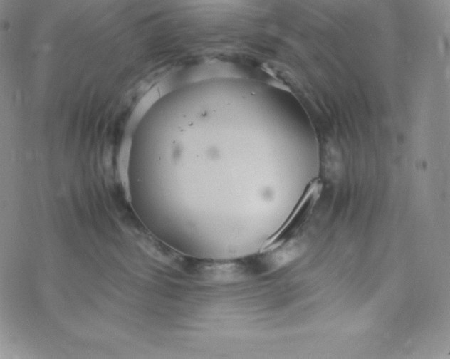 X0000070370428200606301901