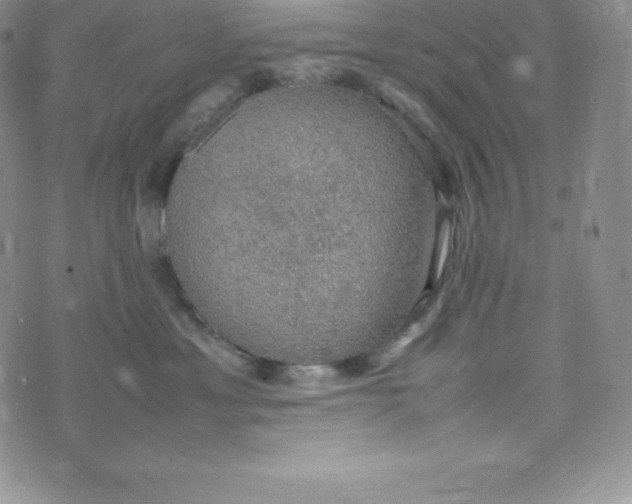 X0000070370429200606301901