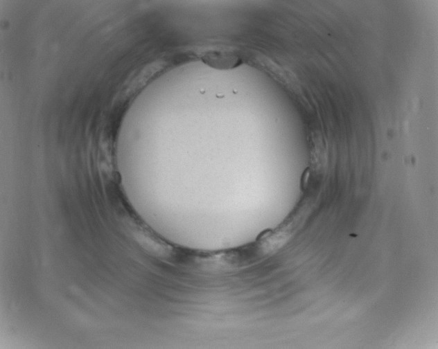 X0000070370430200606301901