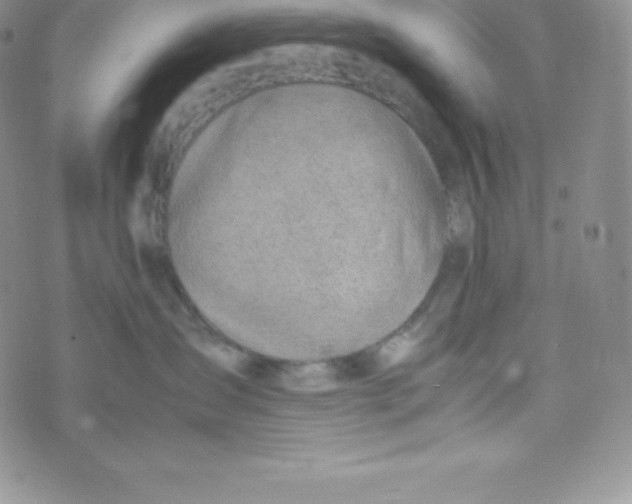 X0000070370431200606301901