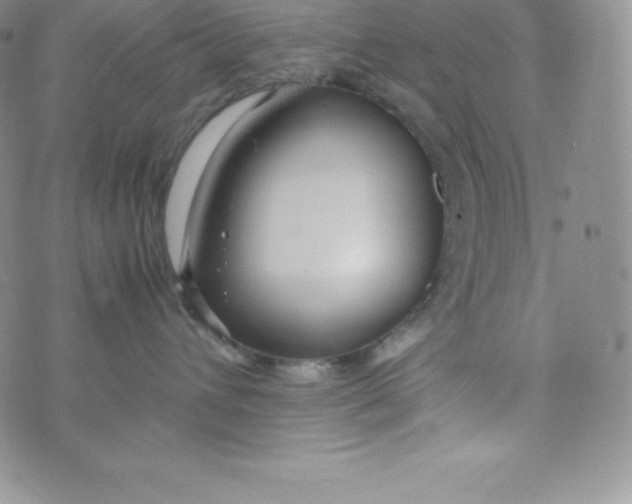 X0000070370432200606301901