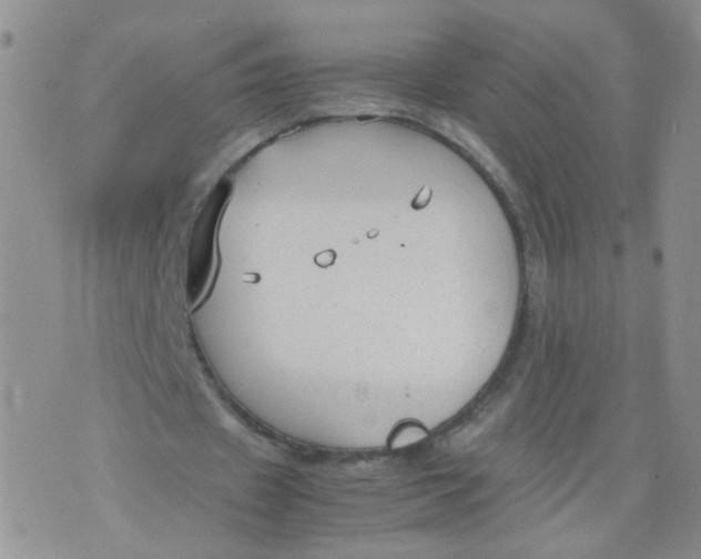 X0000070370433200606301900