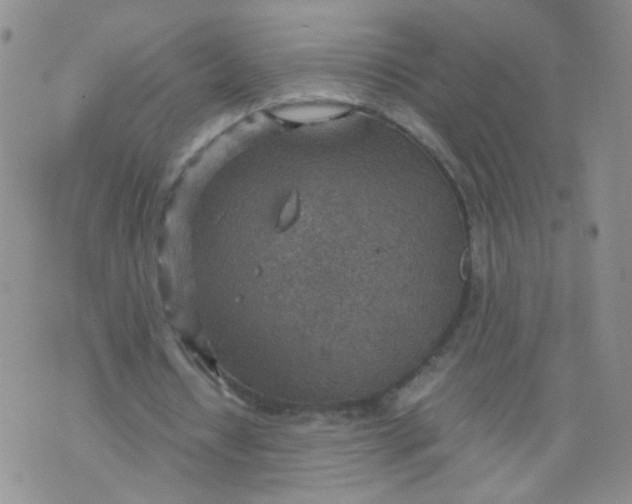 X0000070370434200606301900