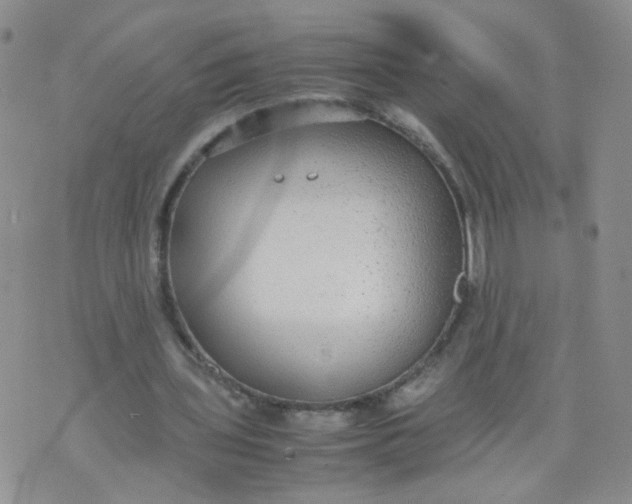 X0000070370435200606301900