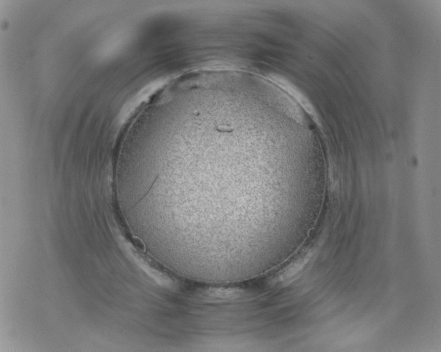 X0000070370437200606301900