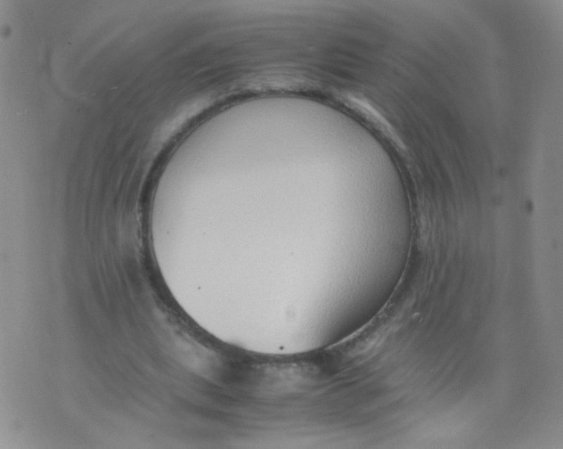 X0000070370439200606301900