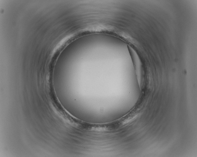 X0000070370440200606301900