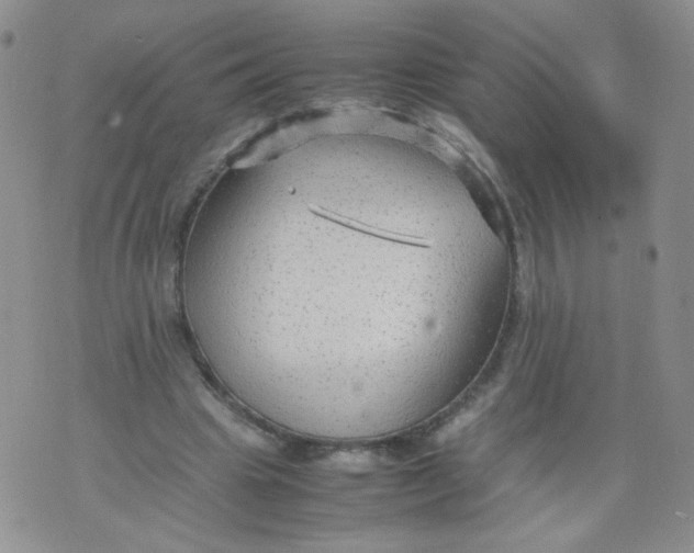 X0000070370441200606301900