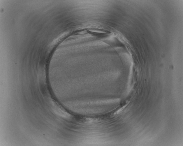 X0000070370442200606301900