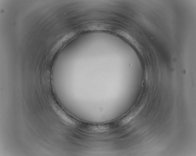 X0000070370445200606301900