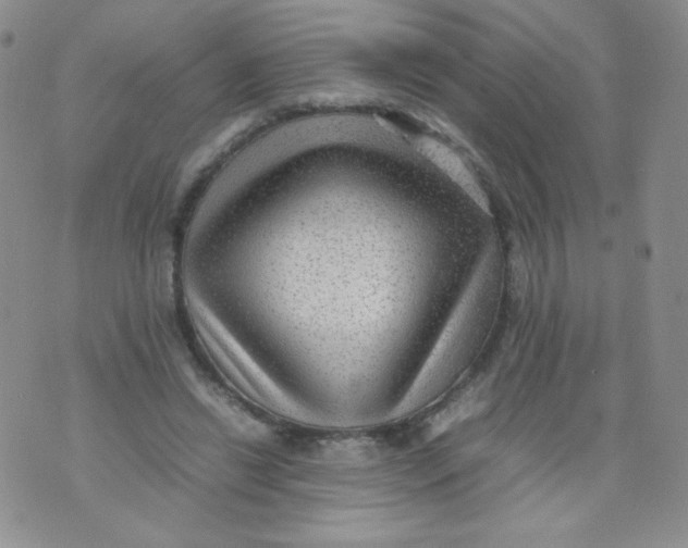 X0000070370446200606301900