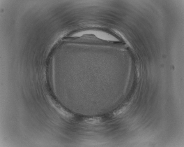 X0000070370447200606301900