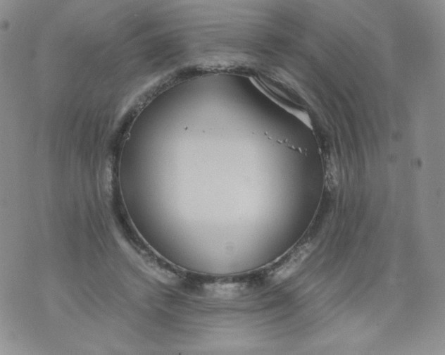 X0000070370448200606301900