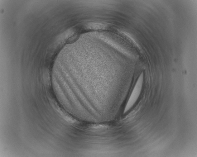 X0000070370453200606301900