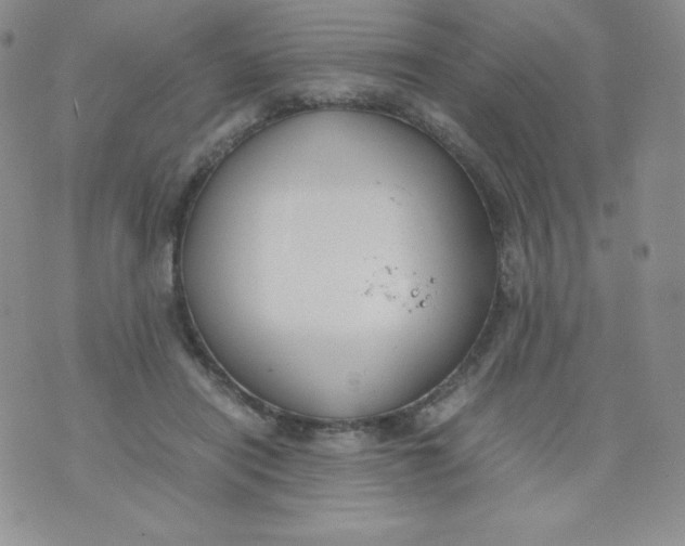 X0000070370454200606301900