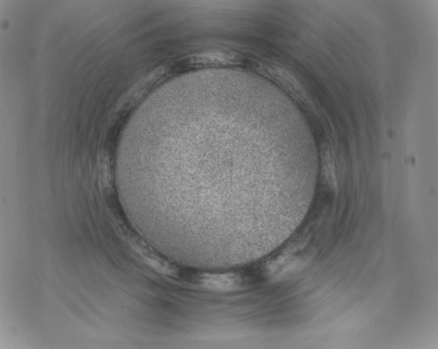 X0000070370457200606301900