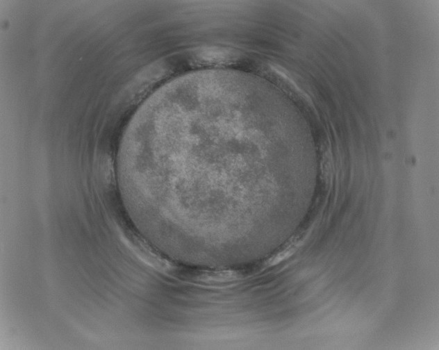 X0000070370459200606301900