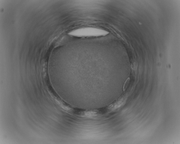 X0000070370462200606301900