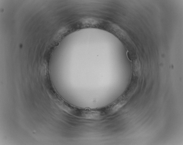 X0000070370463200606301900