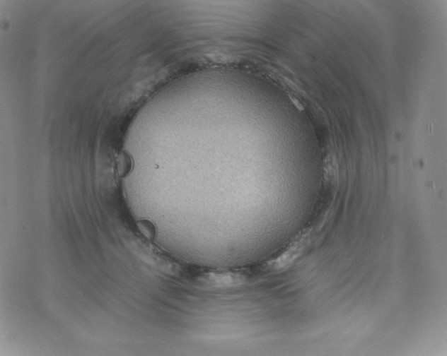 X0000070370464200606301900